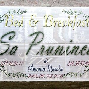 Sa Pruninca Bed & Breakfast Villanova Monteleone Exterior photo