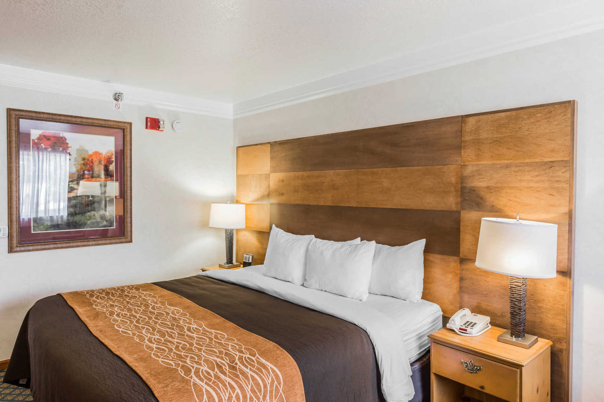 Comfort Inn & Suites Durango Room photo
