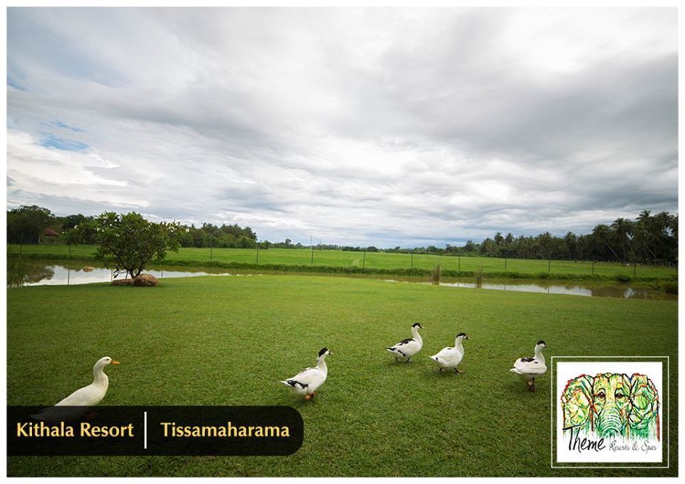 Kithala Resort - Thema Collection Tissamaharama Exterior photo