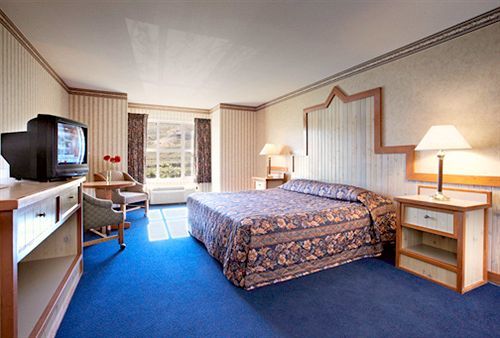 Horseshu Hotel & Casino Jackpot Room photo