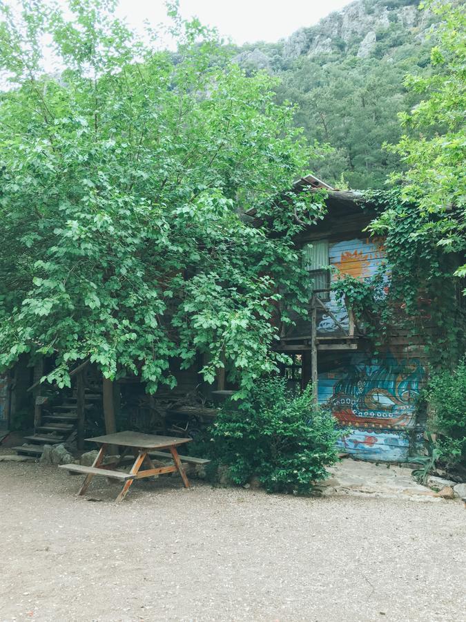 Kadir'S Top Tree Houses Olympos Exterior photo