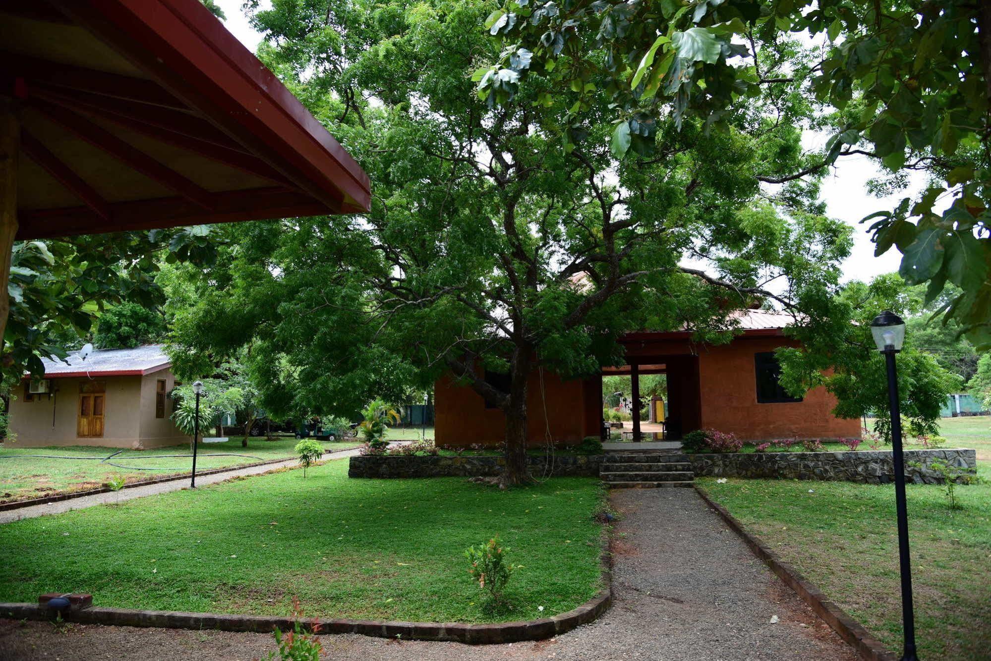 Indika Lake Resort Anuradhapura Exterior photo