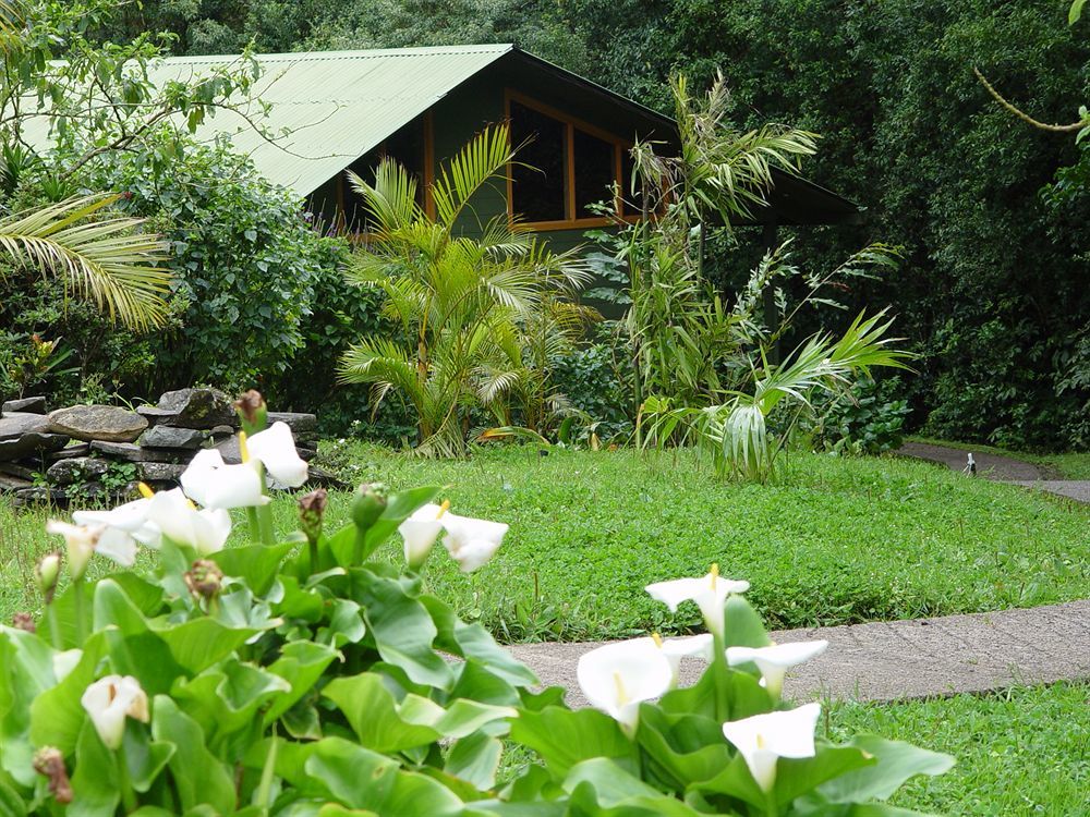 Cloud Forest Lodge Monteverde Exterior photo