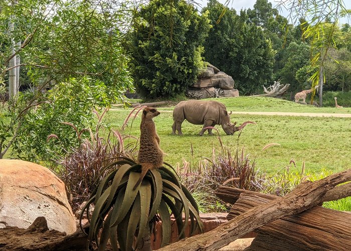 Australia Zoo photo