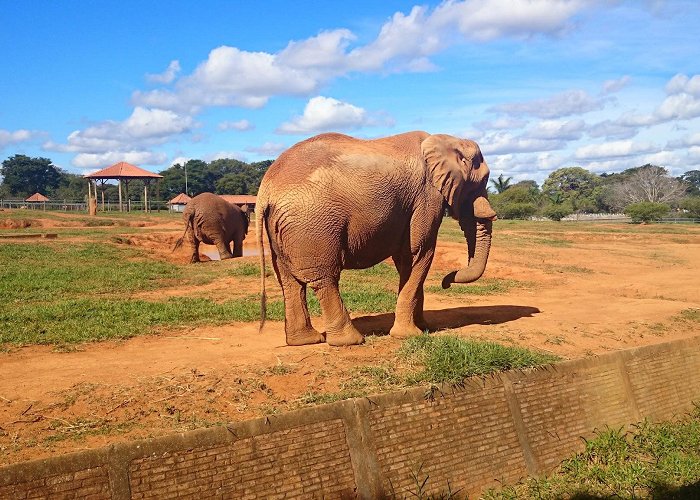 Australia Zoo photo