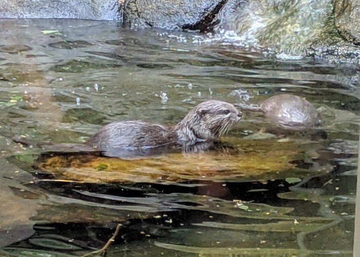 Australia Zoo photo