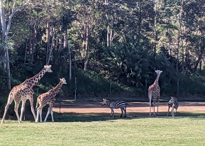 Australia Zoo photo