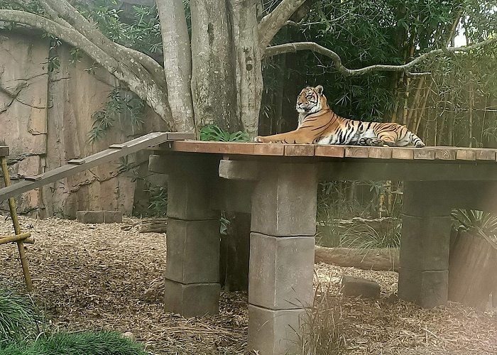 Australia Zoo photo