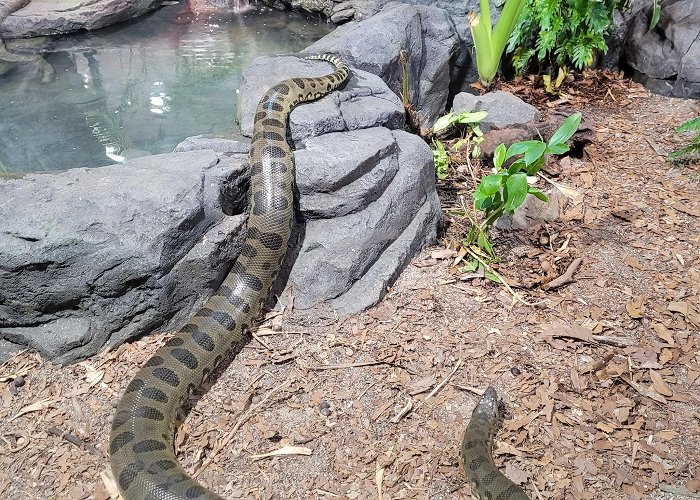 Australia Zoo photo