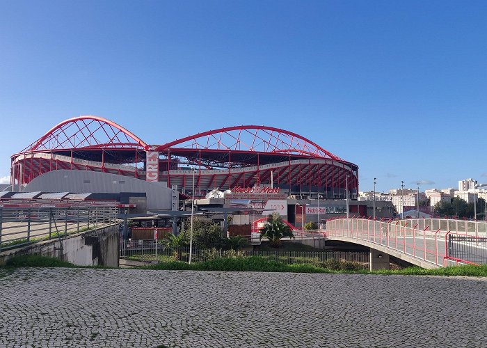 Estadio da Luz photo