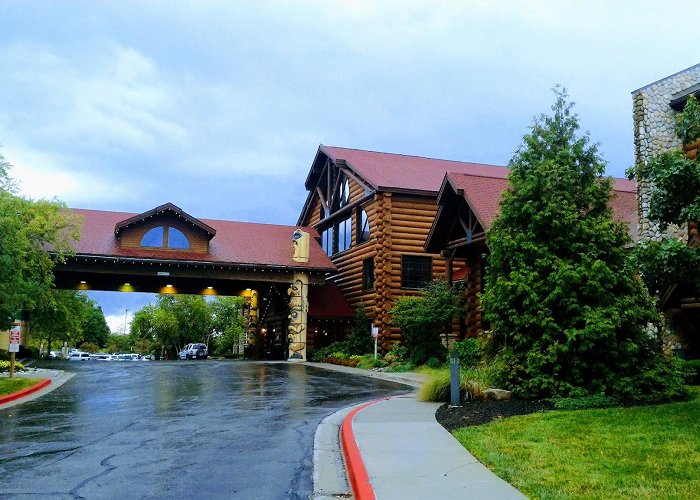 Great Wolf Lodge Kansas City photo