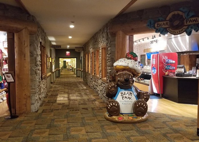 Great Wolf Lodge Kansas City photo