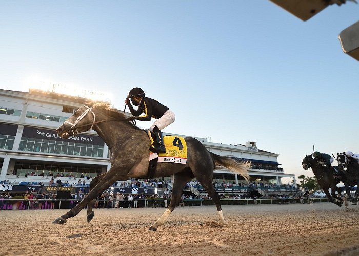 Gulfstream Park photo