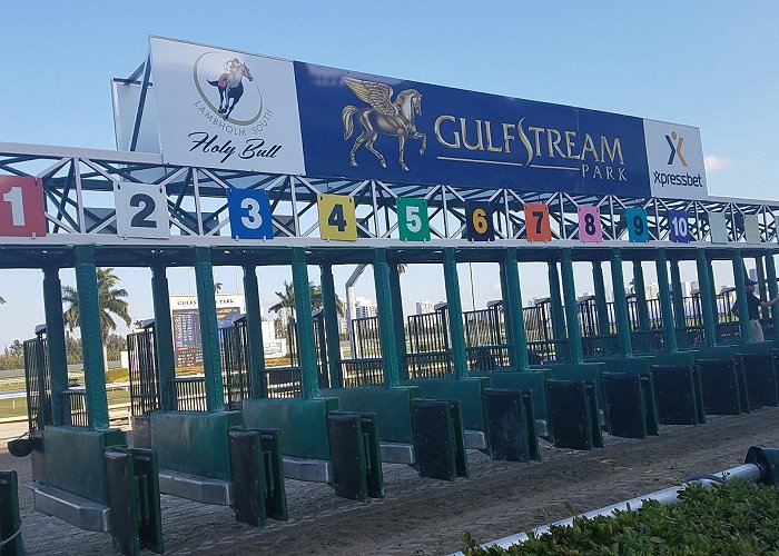 Gulfstream Park photo