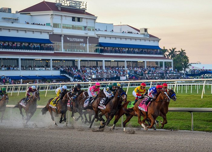 Gulfstream Park photo