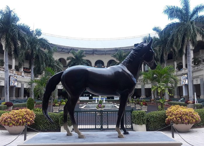 Gulfstream Park photo