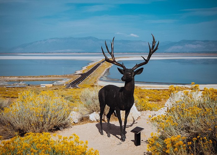 Antelope Island State Park photo