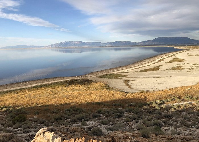 Antelope Island State Park photo