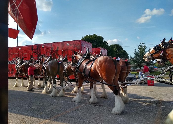 Missouri State Fairgrounds photo