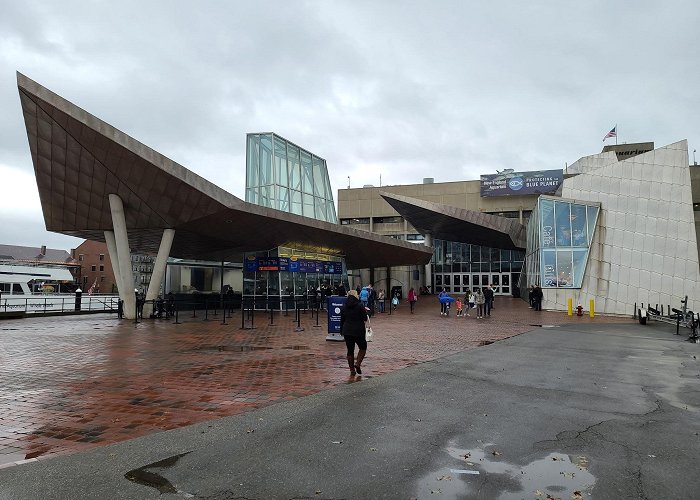 New England Aquarium photo