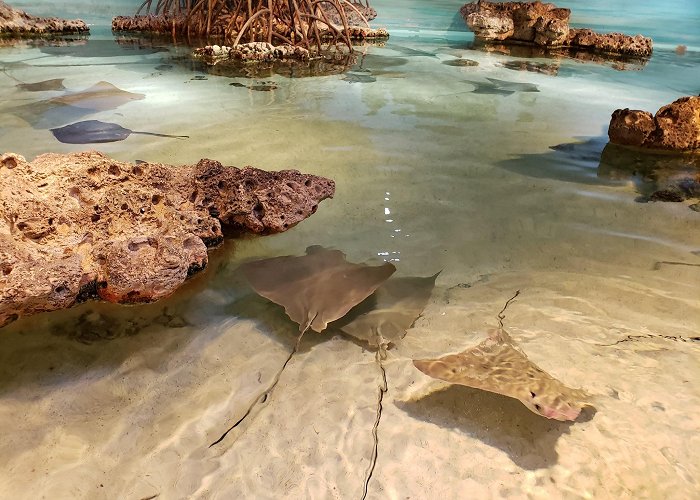 New England Aquarium photo