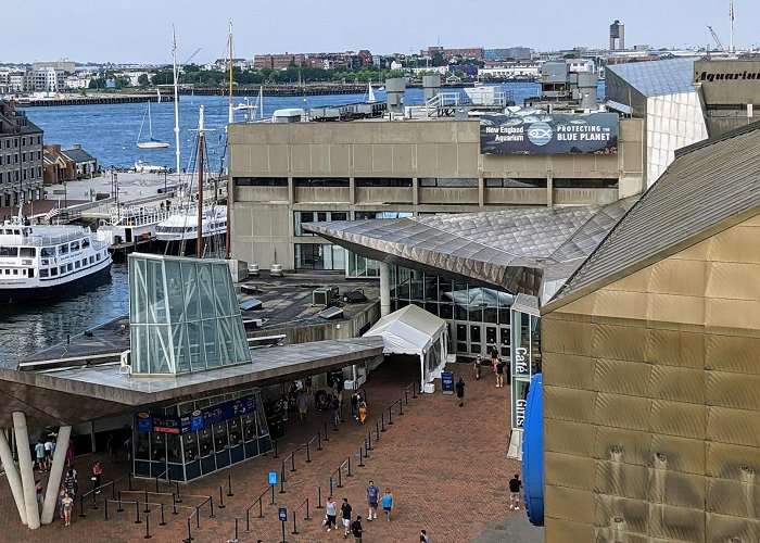 New England Aquarium photo