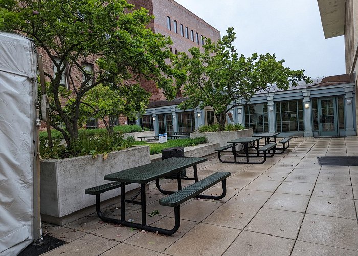 Peabody Institute of The Johns Hopkins University photo