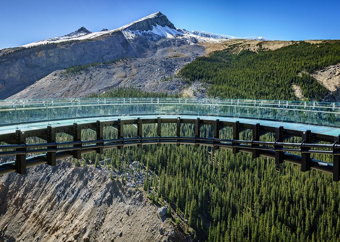 Columbia Icefield photo