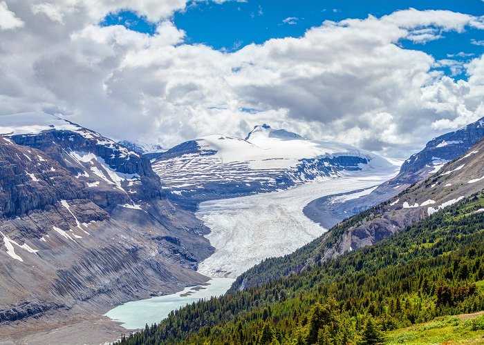 Columbia Icefield photo