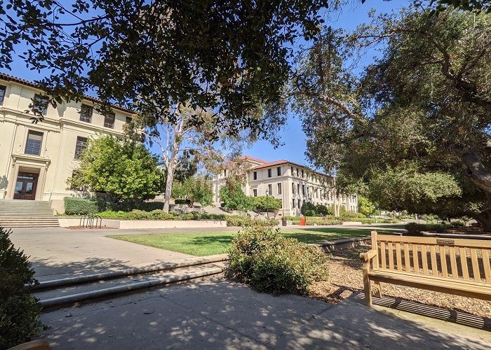 Occidental College photo