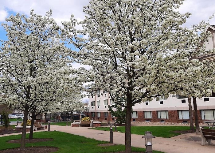 Pennsylvania College of Technology photo