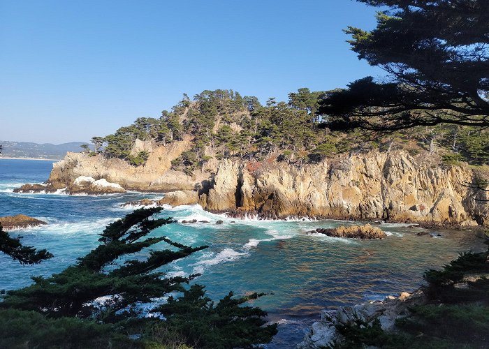 Point Lobos State Natural Reserve photo