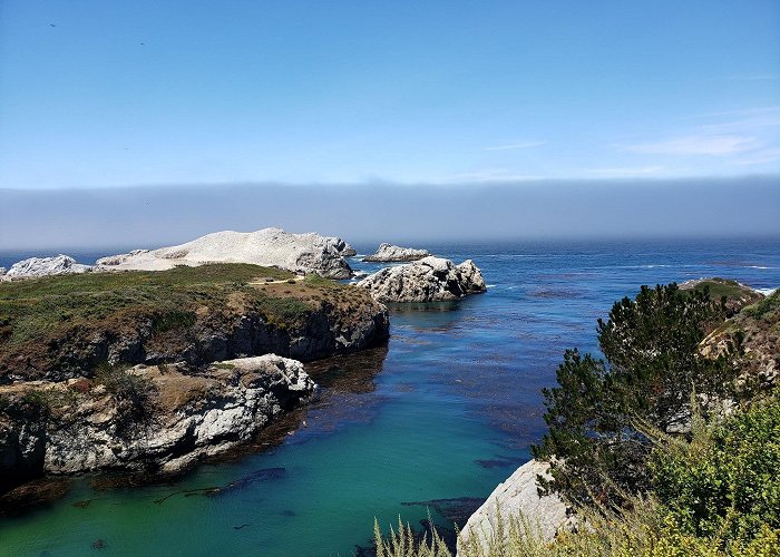 Point Lobos State Natural Reserve photo