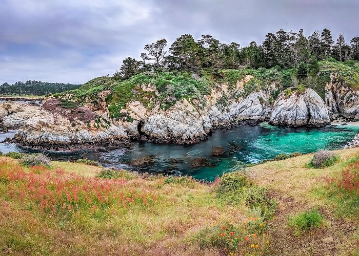 Point Lobos State Natural Reserve photo