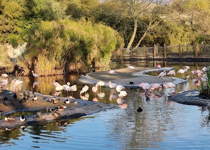 San Diego Zoo Safari Park photo