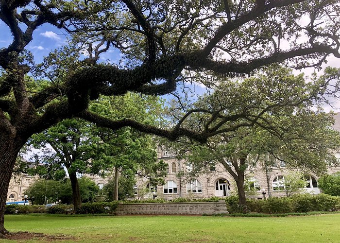 Tulane University photo