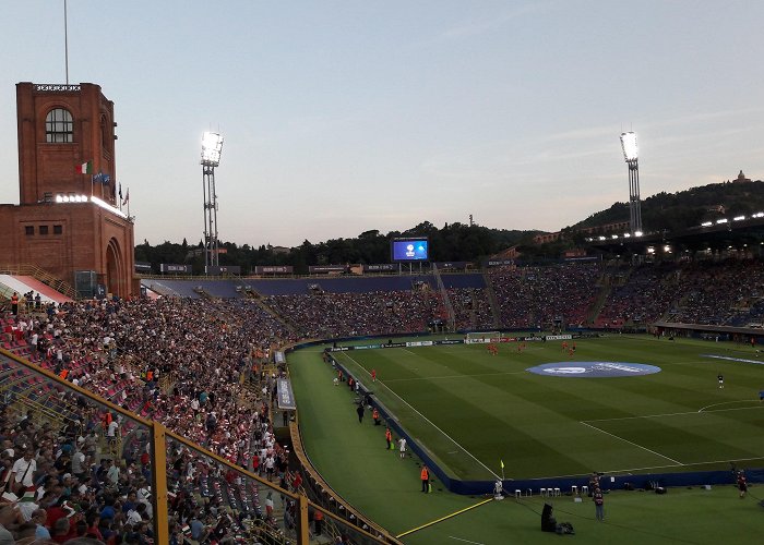 Stadio Renato Dall'Ara photo