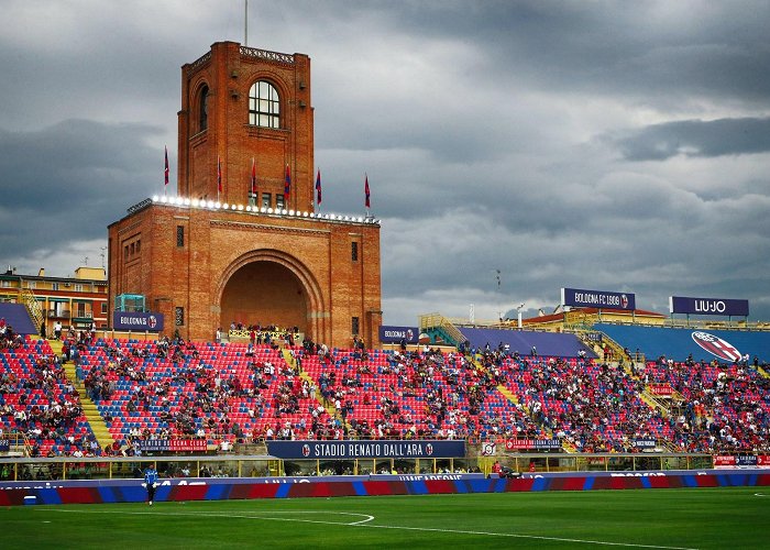 Stadio Renato Dall'Ara photo