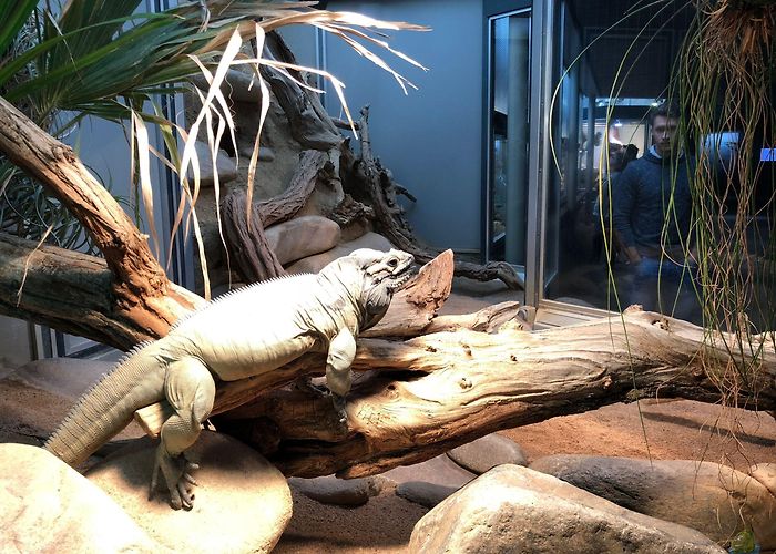 Wilhelma zoologisch-botanischer Garten WILHELMA 6 - Zoologisch-Botanischer ... (Artikel 5305) photo