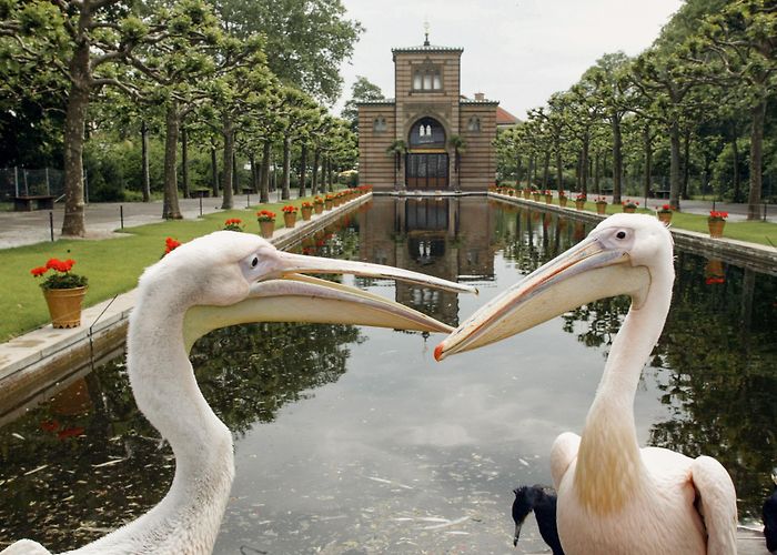 Wilhelma zoologisch-botanischer Garten Wilhelma - Zoologisch-Botanischer Garten Stuttgart | Ausflugsziel ... photo