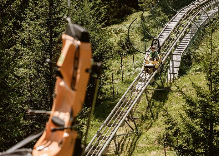 Alpine Coaster Alpine Coaster Fun & Facts | IMSTER BERGBAHNEN photo