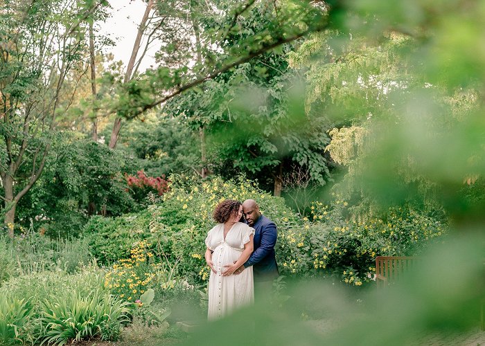 Green Spring Gardens Park Best Engagement Session Locations in Northern Virginia: Green ... photo