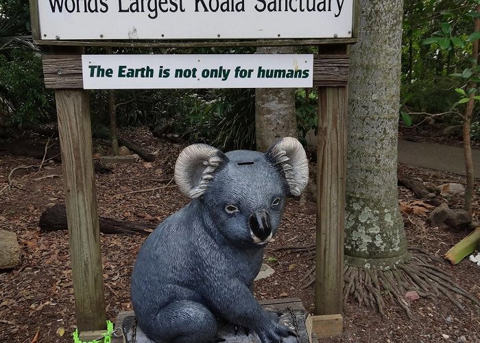 Lone Pine Koala Sanctuary Lone Pine Koala Sanctuary – Review – Everything you need to know ... photo