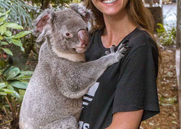 Lone Pine Koala Sanctuary Lone Pine Koala Sanctuary in Brisbane, Australia | Koala, Lone ... photo