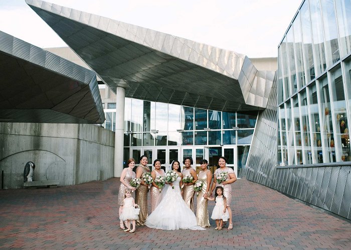 New England Aquarium New England Aquarium Wedding - Studio Nouveau photo