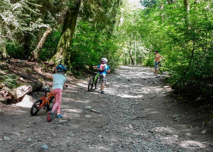 Pacific Spirit Regional Park Biking Through Pacific Spirit Regional Park – Backwoods Mama photo