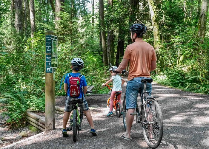 Pacific Spirit Regional Park Biking Through Pacific Spirit Regional Park – Backwoods Mama photo