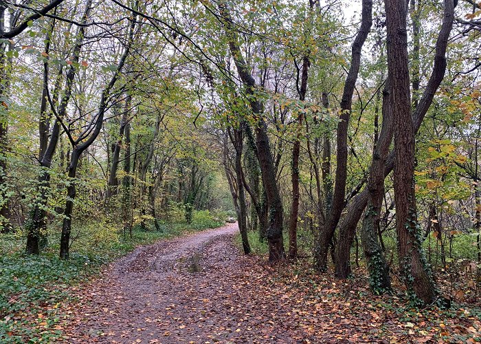 Nieuw Leeuwenhorst Autumn walk | Noordwijk photo