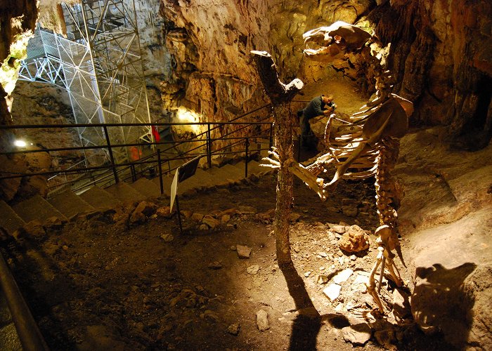 Grotta Gigante Catasto Storico delle grotte - Commissione Grotte Eugenio Boegan photo