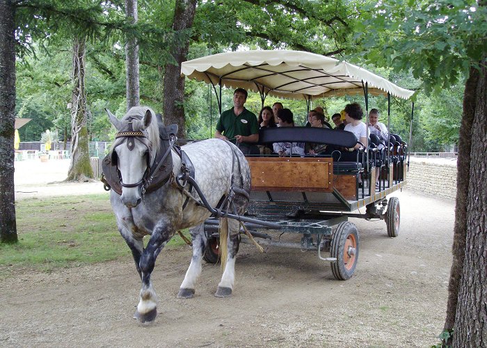 Zoodyssee Parc animalier Zoodyssée - Deux-Sèvres Tourisme photo